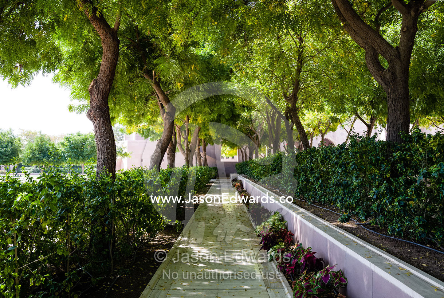 Lush, peaceful gardens and shady trees surround the Grand Mosque in Oman. Sultan Qaboos Grand Mosque, Muscat, Sultanate of Oman.