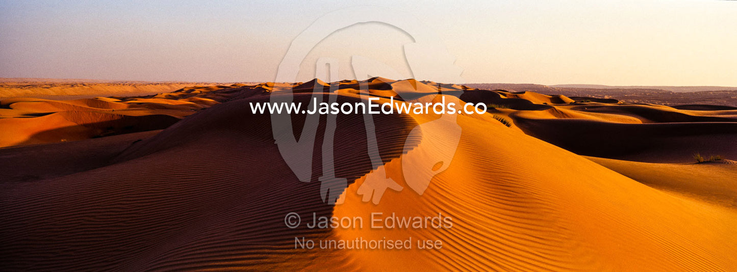 Sunset shines on sand dunes in the desert. Wahiba Sands, Ramlat al-Wahiba, Sharqiya Sands, Sultanate of Oman.