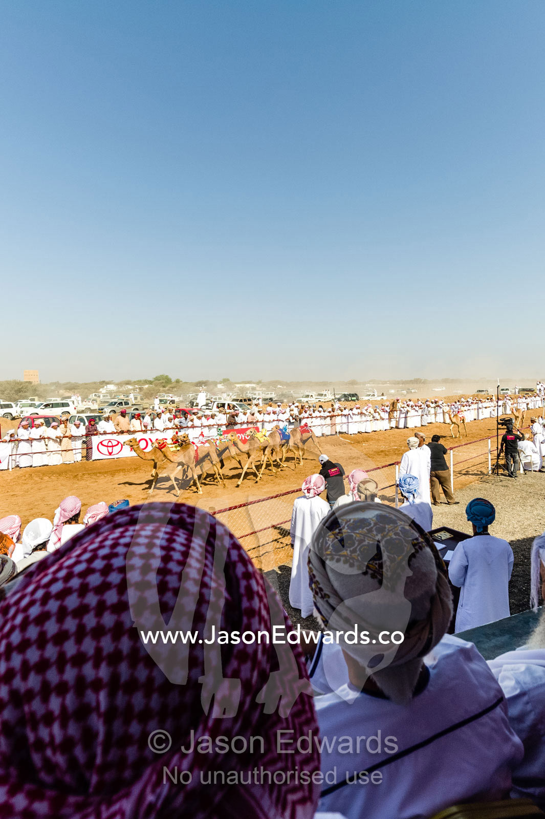 A crowd of men watching a camel race at the finish line. Bidiya, Sharqiya Region, Sultanate of Oman.