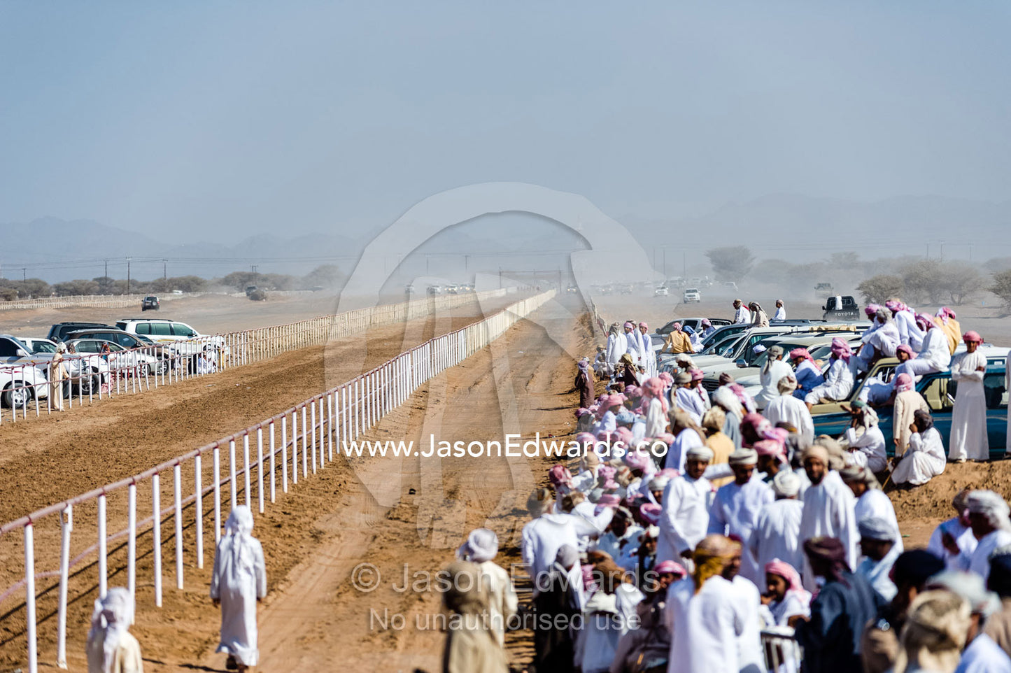 A crowd of spectators cheer and watch camels race down a long straight race track. Bidiya, Sharqiya Region, Sultanate of Oman.