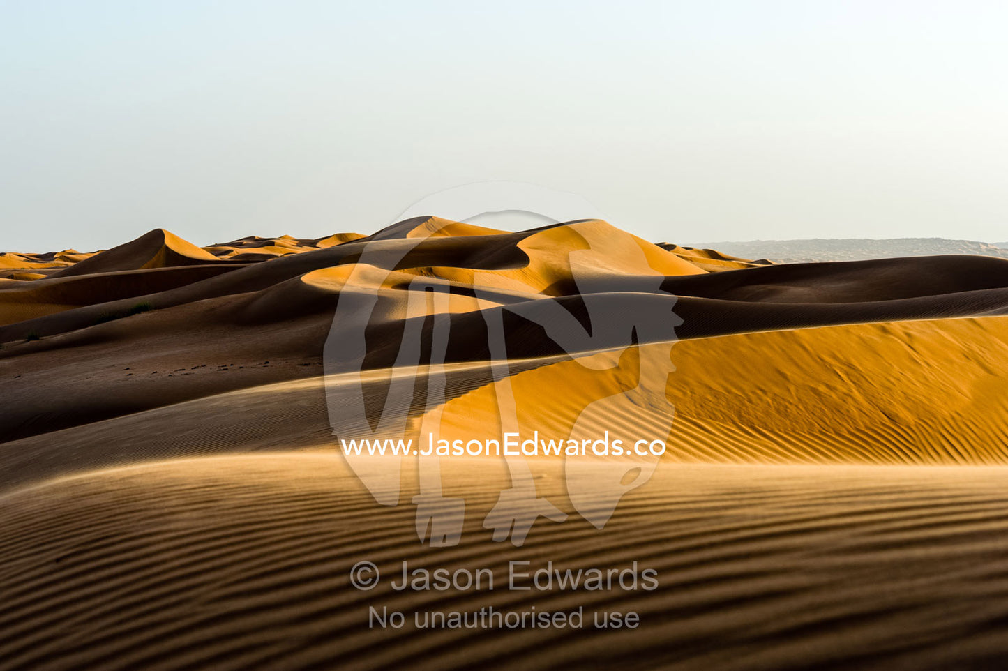 Windblown ripples and sand patterns on the surface of a red sand dune at sunset. Wahiba Sands, Ramlat al-Wahiba, Sharqiya Sands, Sultanate of Oman.