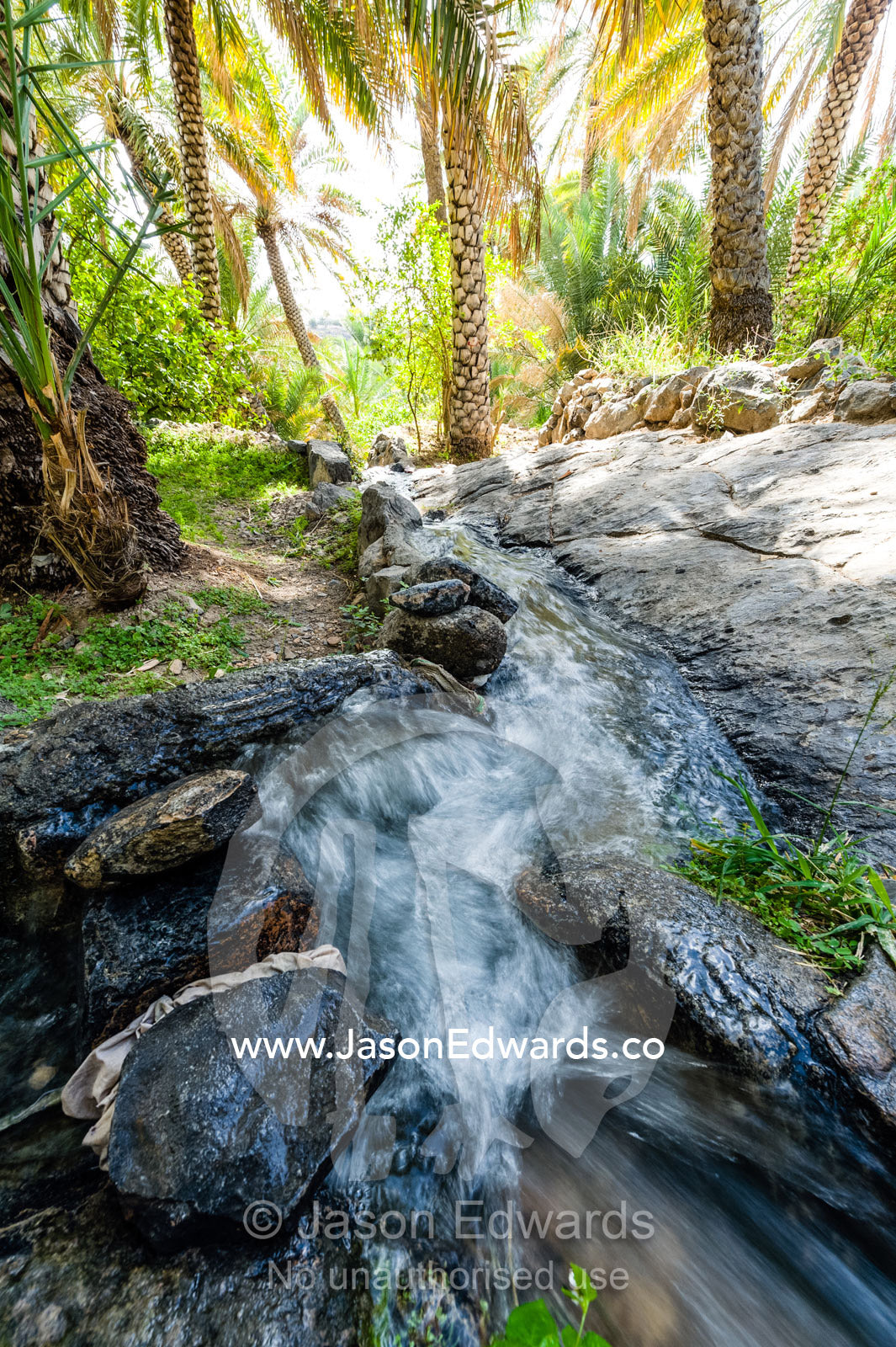 Water from a mountain spring running down a falaj in an ancient village. Misfat Al Abryeen, Al Hajar Mountains, Al Hamra, Ad Dakhiliyah Region, Sultanate of Oman.