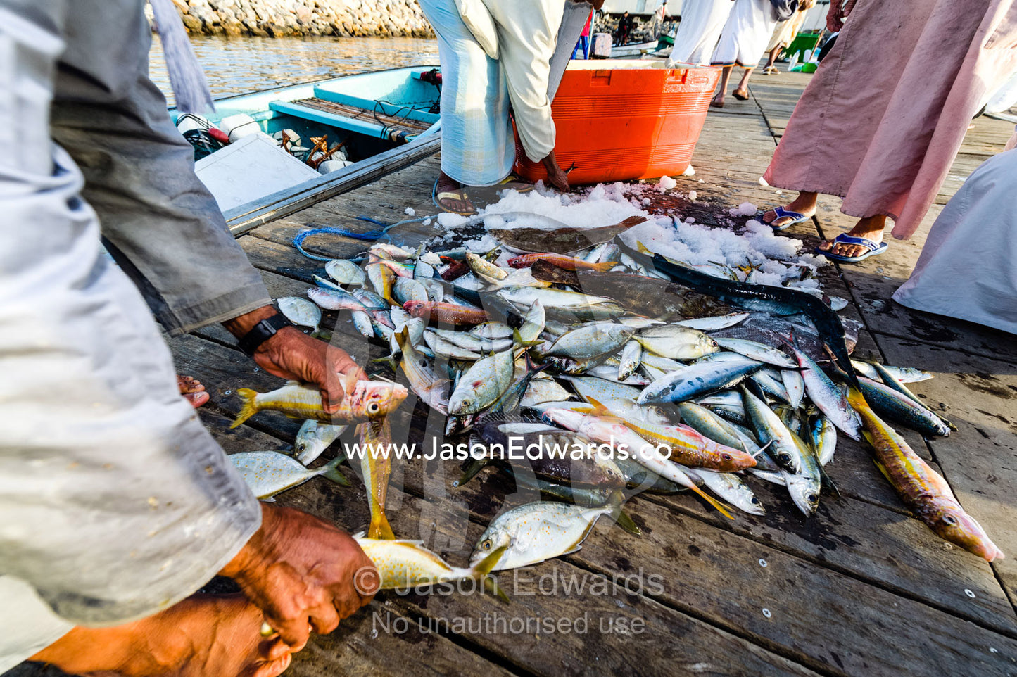 Muslim men sort the mornings catch of fish on a jetty for sale at a local market. Mutrah Fish Market, Muscat, Gulf of Oman, Sultanate of Oman.