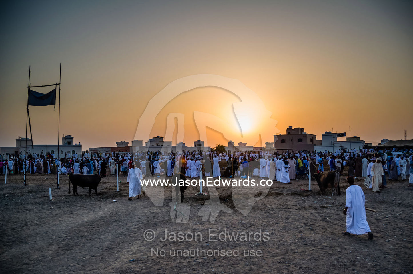 A crowd of men gather on a bull ring at sunset after the days matches. Al Sharadi, Seeb, Muscat, Sultanate of Oman.
