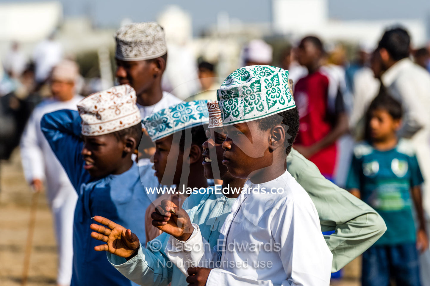 Muslim boys wearing traditional dishdasha and kuma examine bulls waiting to do battle in the ring. Al Sharadi, Seeb, Muscat, Sultanate of Oman.