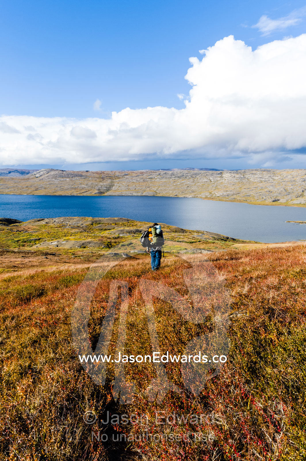 A solitary hiker crosses the tundra toward the shores of a vast alpine lake. Tasersuatsiaq Lake, Kangerlussuaq, Qeqqata Municipality, Greenland.