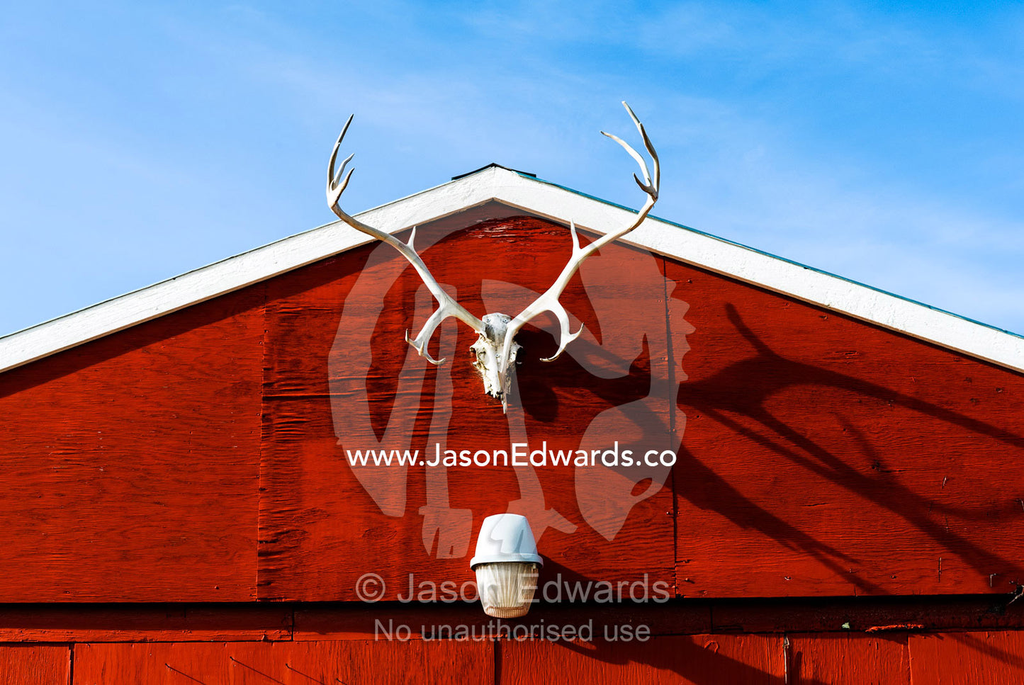 A rack of Barren-ground Caribou antlers on the facade of a red garage in an arctic village. Kangerlussuaq, Qeqqata Municipality, Greenland.
