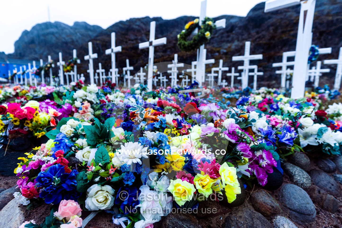 Colorful flowers on graves in a fishing village cemetery. Maniitsoq, Sukkertoppen, Qeqqata Municipality, Greenland.
