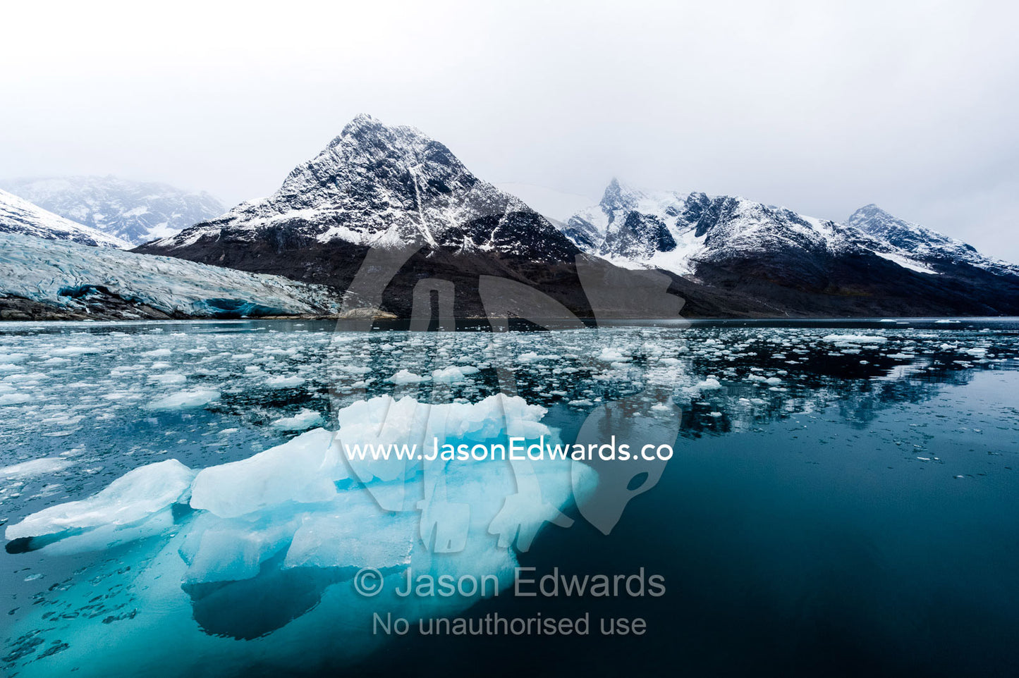 An iceberg carved from a glacier floating in the dark waters of an Arctic fjord. Fjord of Eternity, Maniitsoq, Sukkertoppen, Qeqqata Municipality, Greenland.