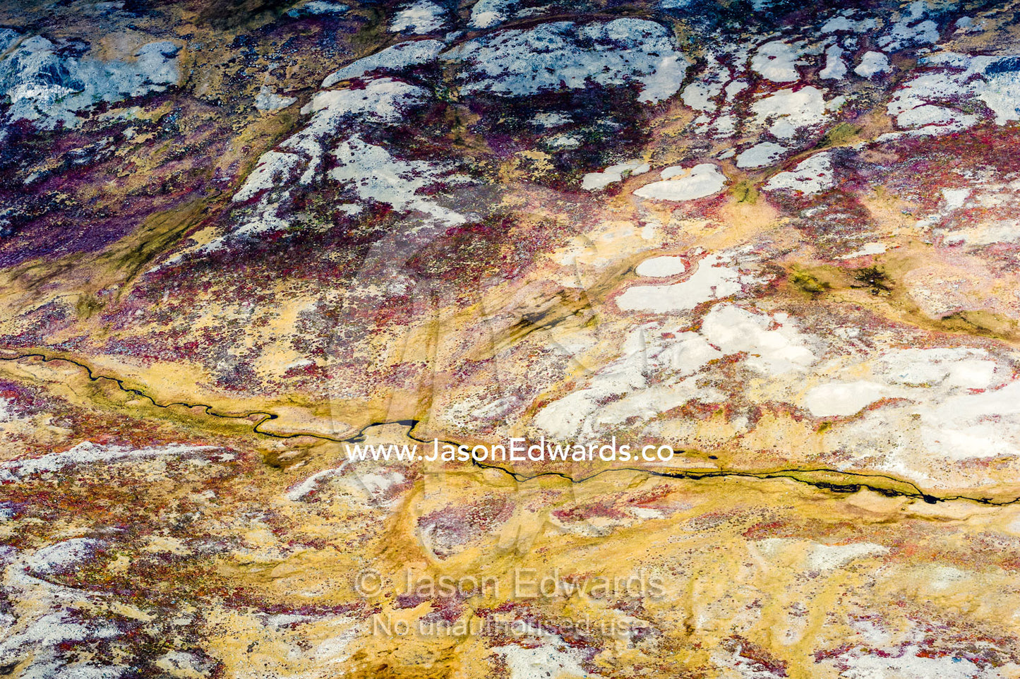 A mosaic of Autumn colors on a vast tundra plain. Tarajornitsut Highlands, Qeqqata Municipality, Kangerlussuaq, Greenland.