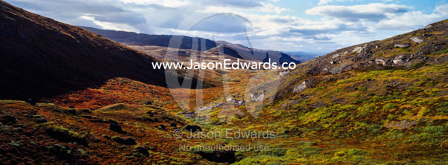 Autumn colors cover a vast tundra valley in the arctic. Ammalortup Nunaa Highland, Kangerlussuaq, Qeqqata Municipality, Greenland.