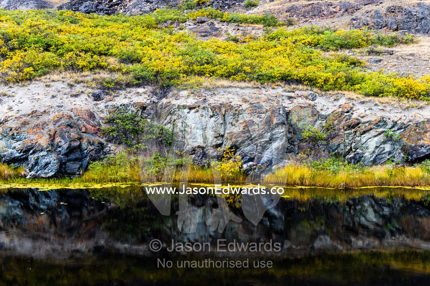The dark waters of an alpine pond beneath a small cliff. Kangerlussuaq Fjord, Kangerlussuaq, Qeqqata Municipality, Greenland.