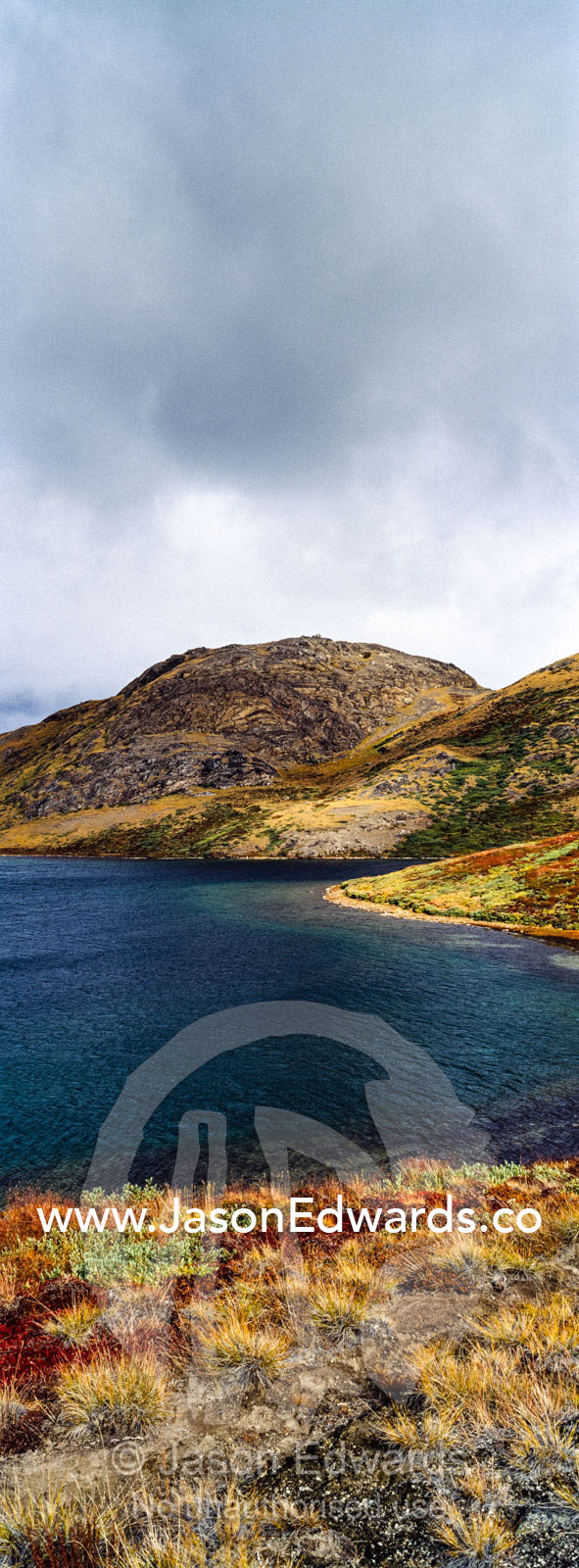 Autumn foliage colours along the shoreline of an alpine lake. Isunnguata Sermia, Kangerlussuaq, Qeqqata Municipality, Greenland.