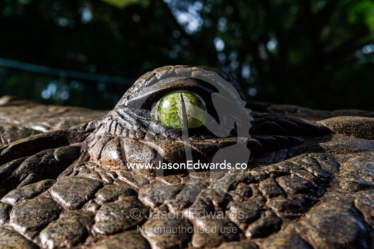 The menacing eye of an enormous life-size prehistoric Sarcosuchus crocodile sculpture. Australia Zoo, Beerwah, Sunshine Coast, Queensland, Australia.