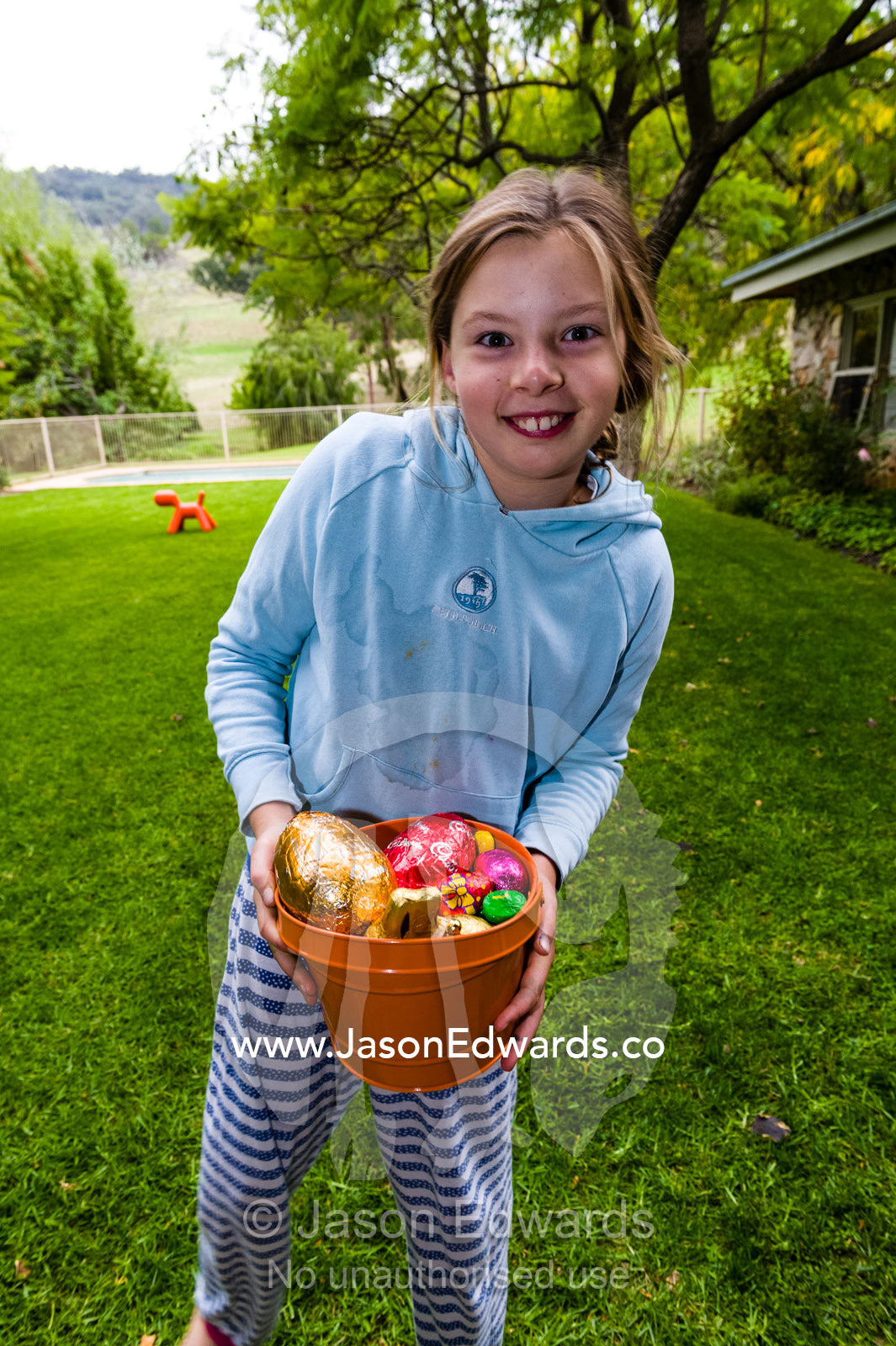A girl displays his collection of colorful Easter eggs found during a hunt on a farm. Euroa, Strathbogie, Victoria Australia.