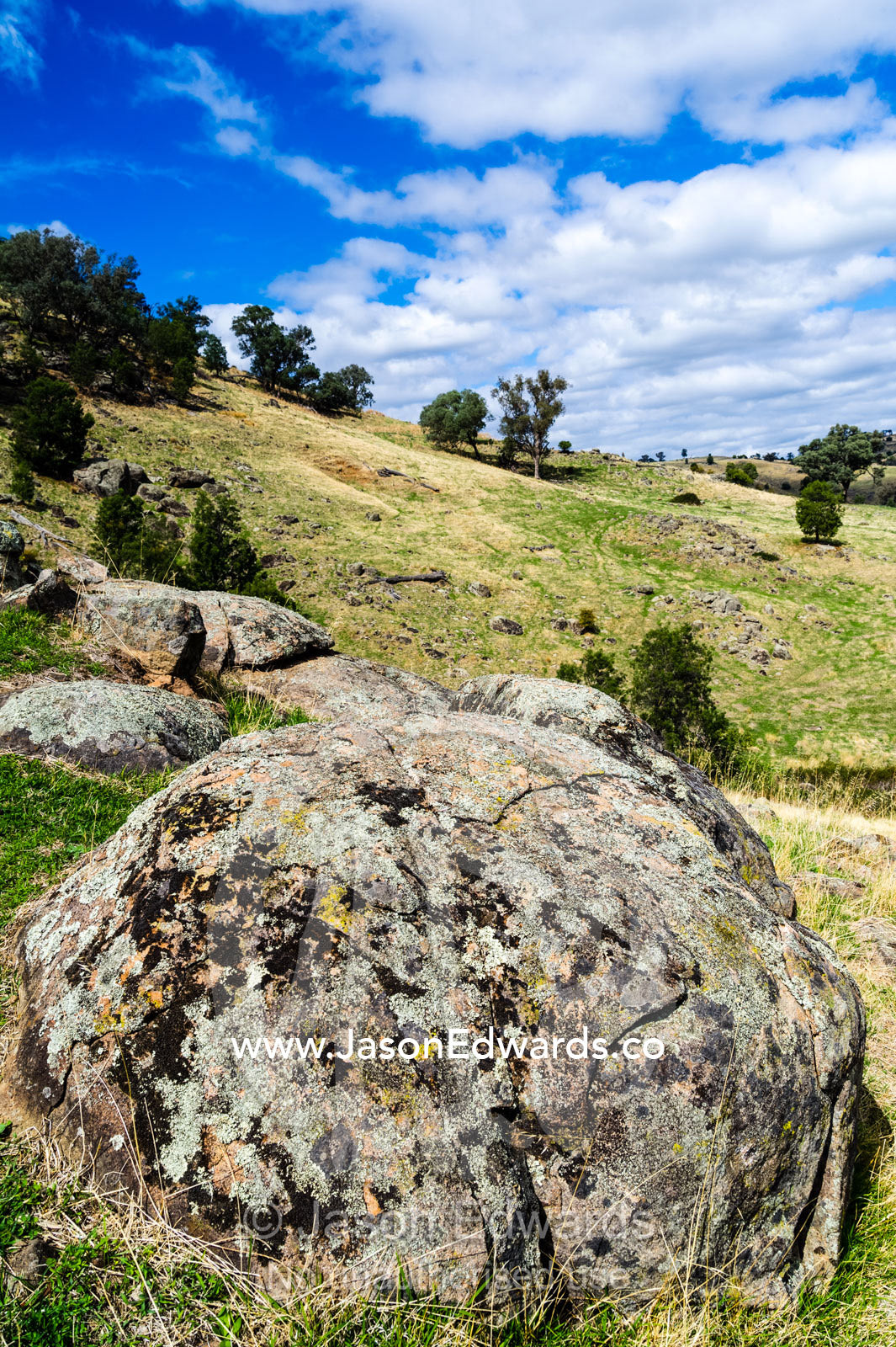 A boulder covered in lichens in a farm paddock. Euroa, Strathbogie, Victoria, Australia.