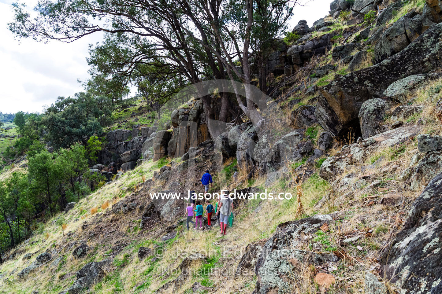 Multiple families go hiking along a mountainside on a farm. Euroa, Strathbogie, Victoria, Australia.