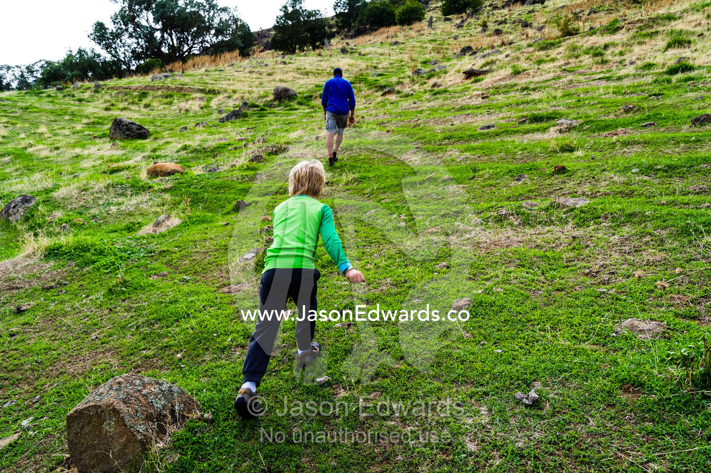 A boy follows a farmer walking up a pasture hillside on a farm. Euroa, Strathbogie, Victoria, Australia.