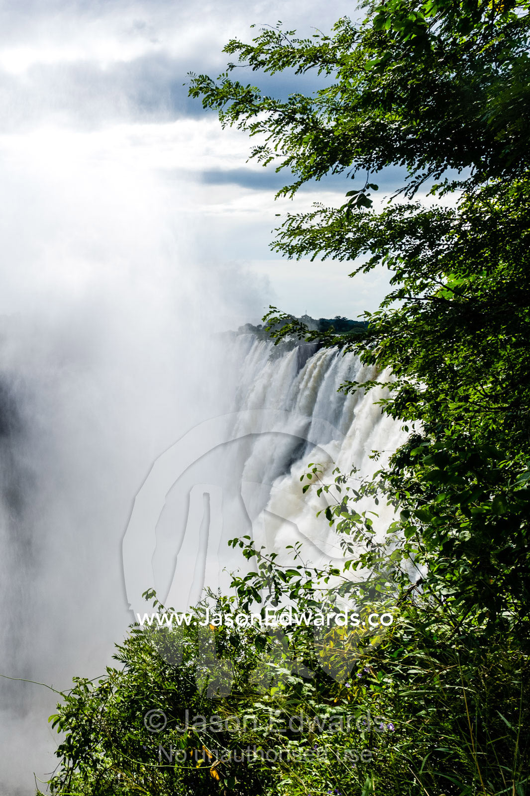 The view of the Victoria Falls cataract and mist plume through a rainforest canopy. Zambezi River, Victoria Falls, Mosi-oa-Tunya National Park, Zambia.