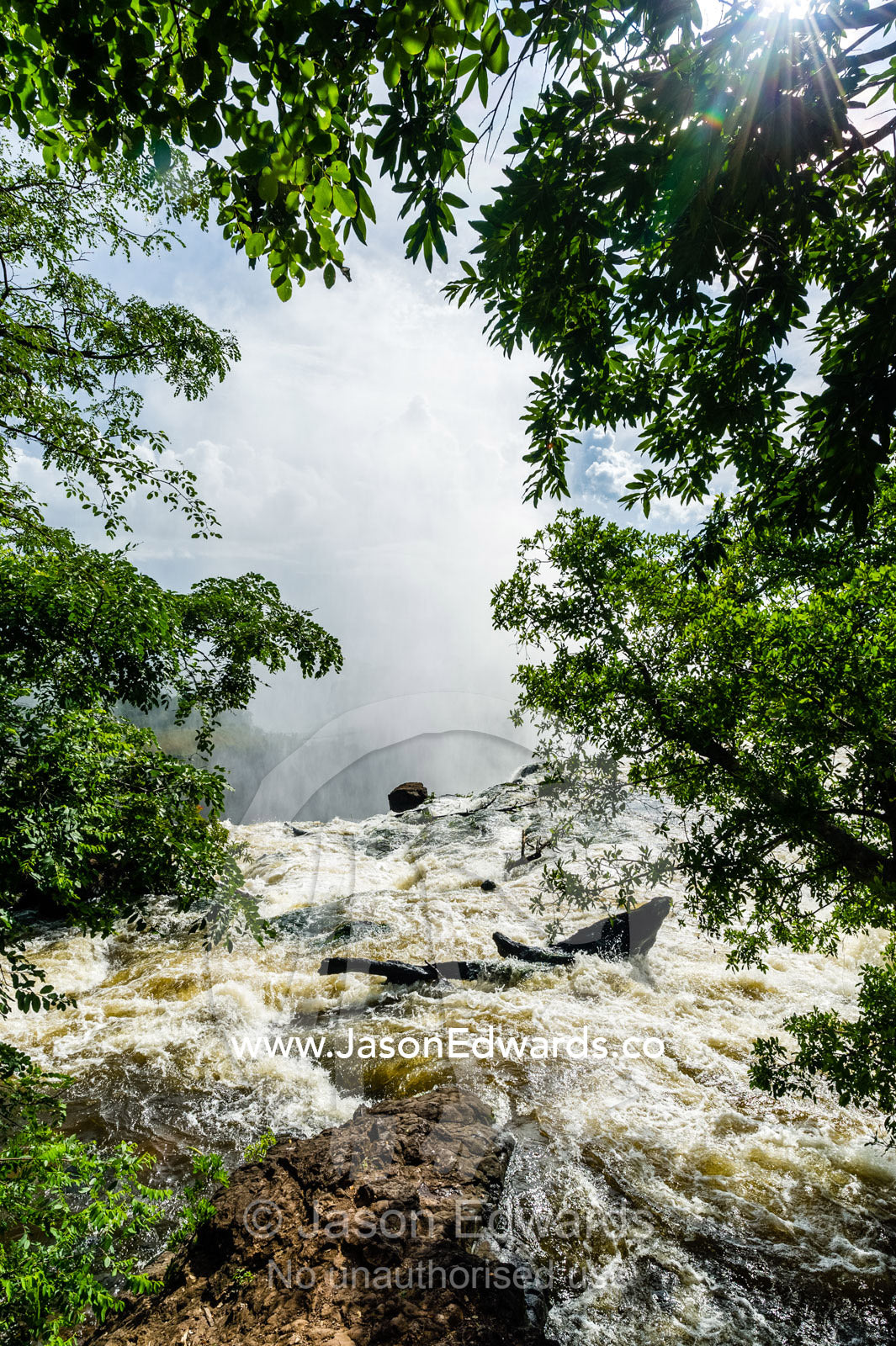Beneath overhanging trees the rapids and currents of the Zambezi River flow along the shoreline. Zambezi River, Victoria Falls, Mosi-oa-Tunya National Park, Zambia.