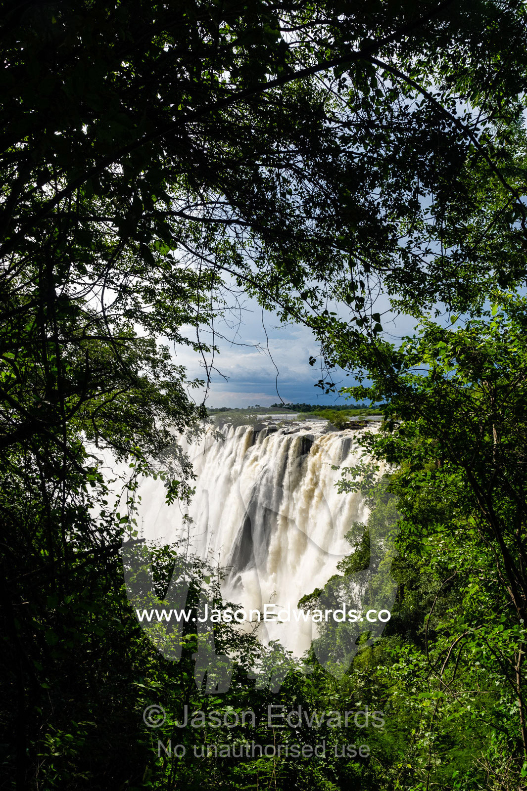The view of Victoria Falls through a rainforest canopy as it plunges into the cataract. Zambezi River, Victoria Falls, Mosi-oa-Tunya National Park, Zambia.