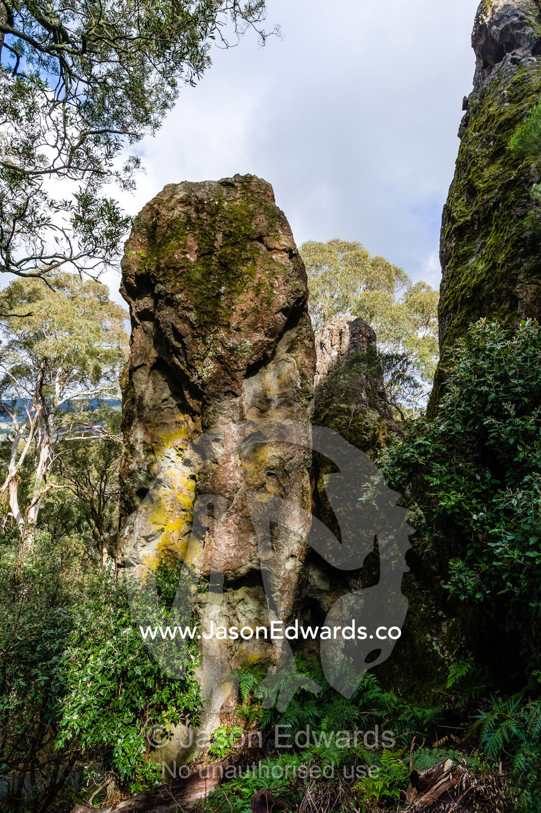 A rock pillar made of solvsbergite emerges from the forest in dappled sunlight. Hanging Rock Recreation Reserve, Woodend, Victoria, Australia.