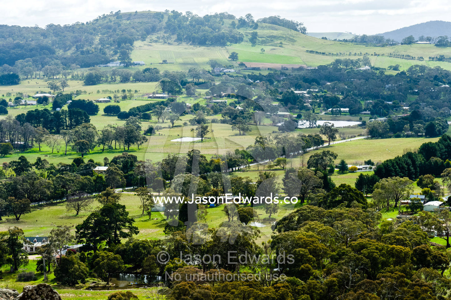Eucalyptus trees scattered across fertile rolling farmland and farmhouses. Hanging Rock Recreation Reserve, Woodend, Victoria, Australia.
