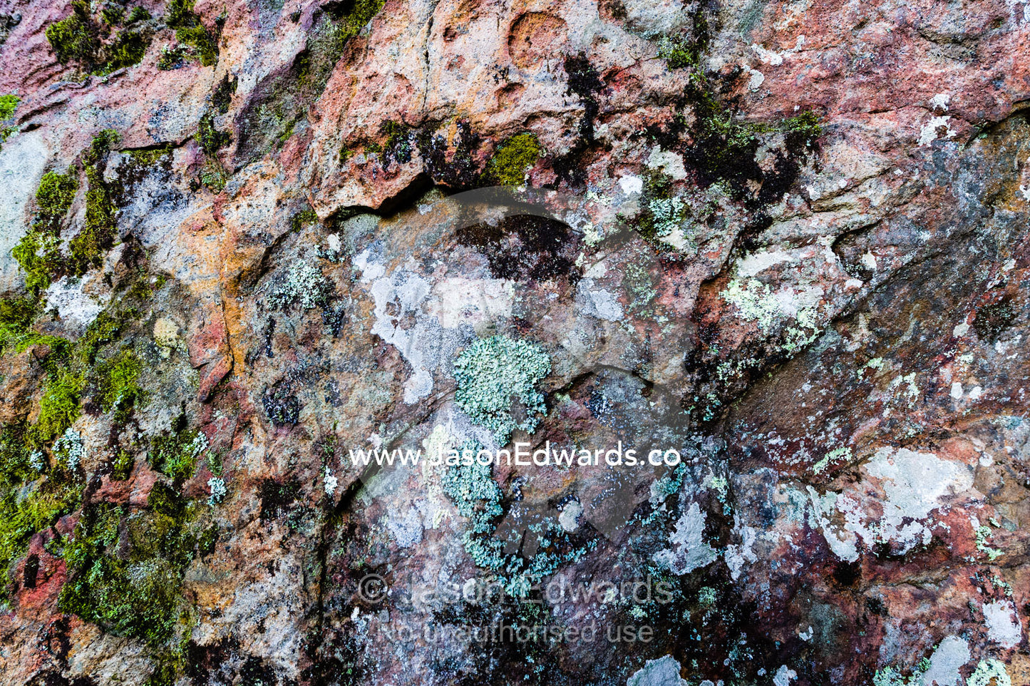 A lichen colony growing on the surface of a rock pillar made of solvsbergite. Hanging Rock Recreation Reserve, Woodend, Victoria, Australia.
