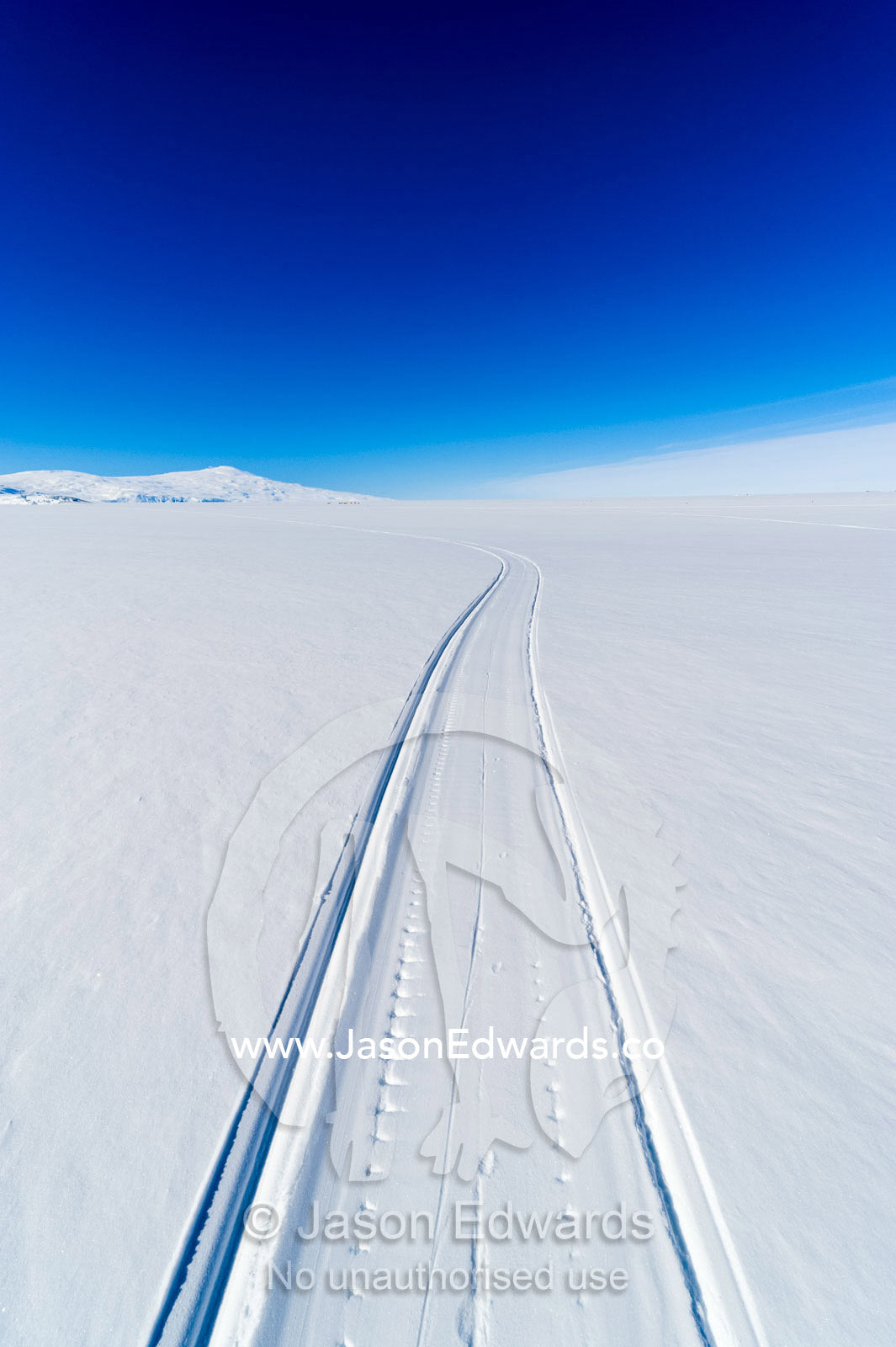 Skiddoo tracks cross the snow on the vast barren Ross Ice Shelf. Windless Bight, Ross Ice Shelf, Ross Island, Antarctica.