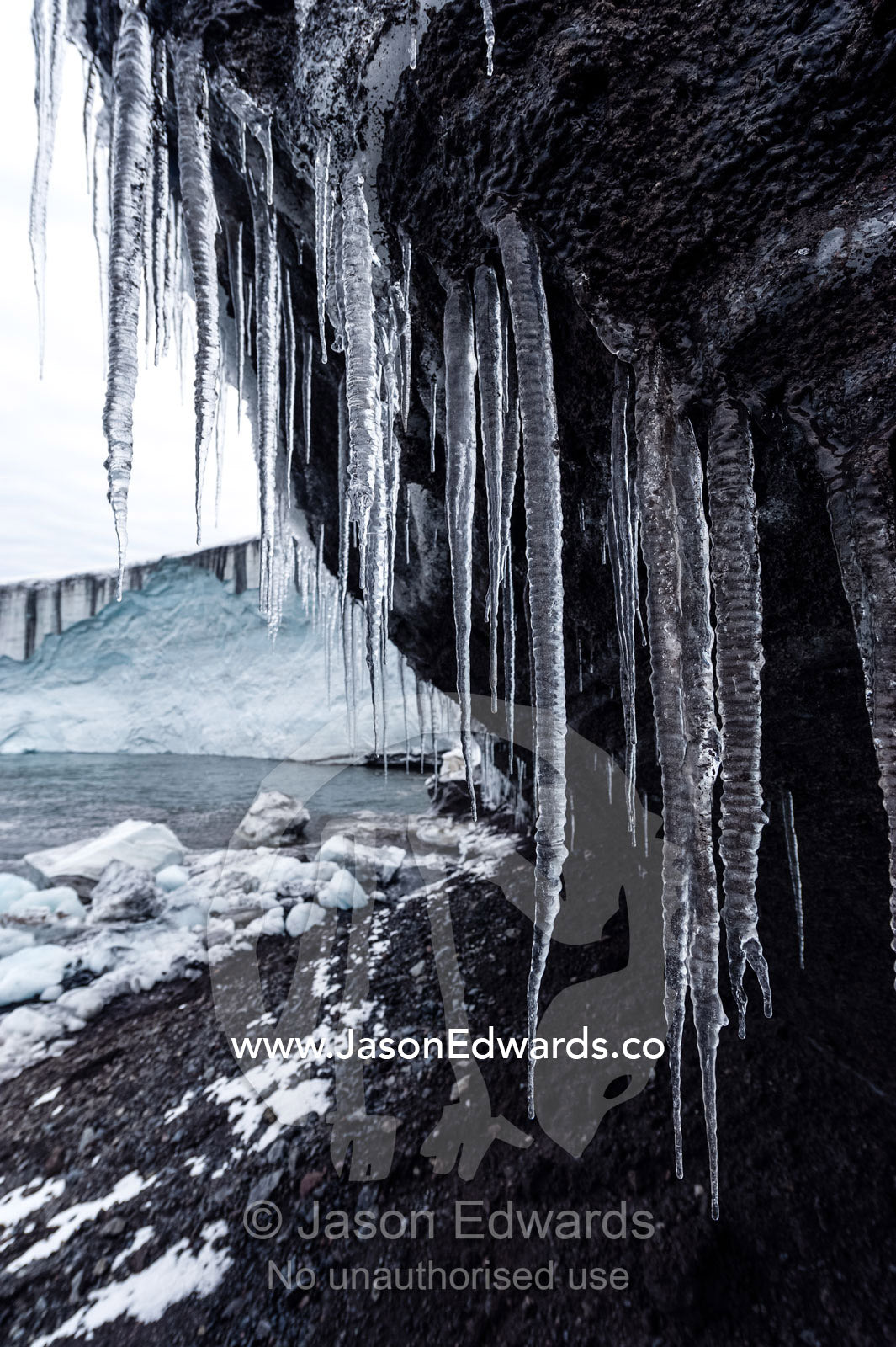 Icicles hang from the tip of a glacier in Antarctica. Cape Bird Ice Cap, Adelie Glacier, Cape Bird, Ross Island, Antarctica.