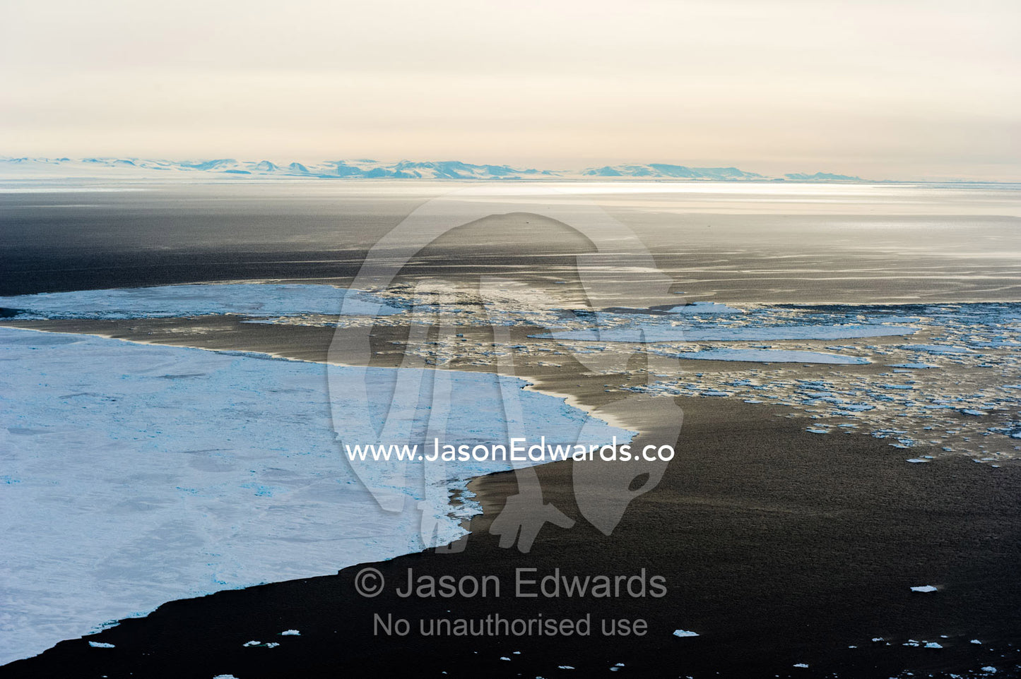 Large plates of sea ice break-up on the open ocean during the Antarctic summer. McMurdo Sound, Ross Sea, Antarctica.
