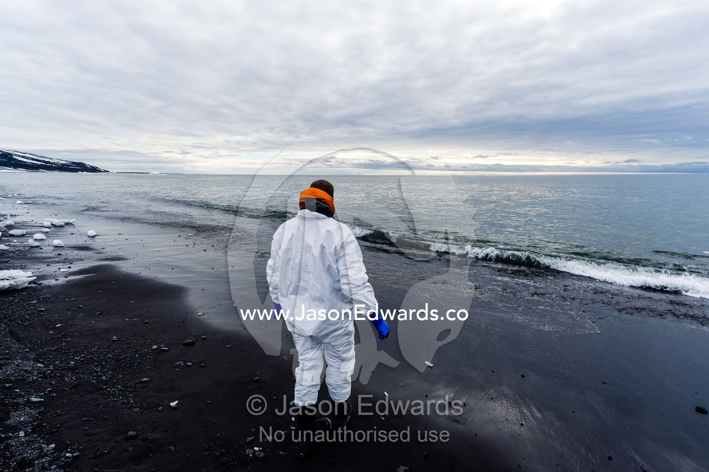 A researcher wearing a safety suit washes his tools in the ocean after collecting samples from a dead Weddell Seal. Caughley Beach, Cape Bird, Ross Island, Antarctica.