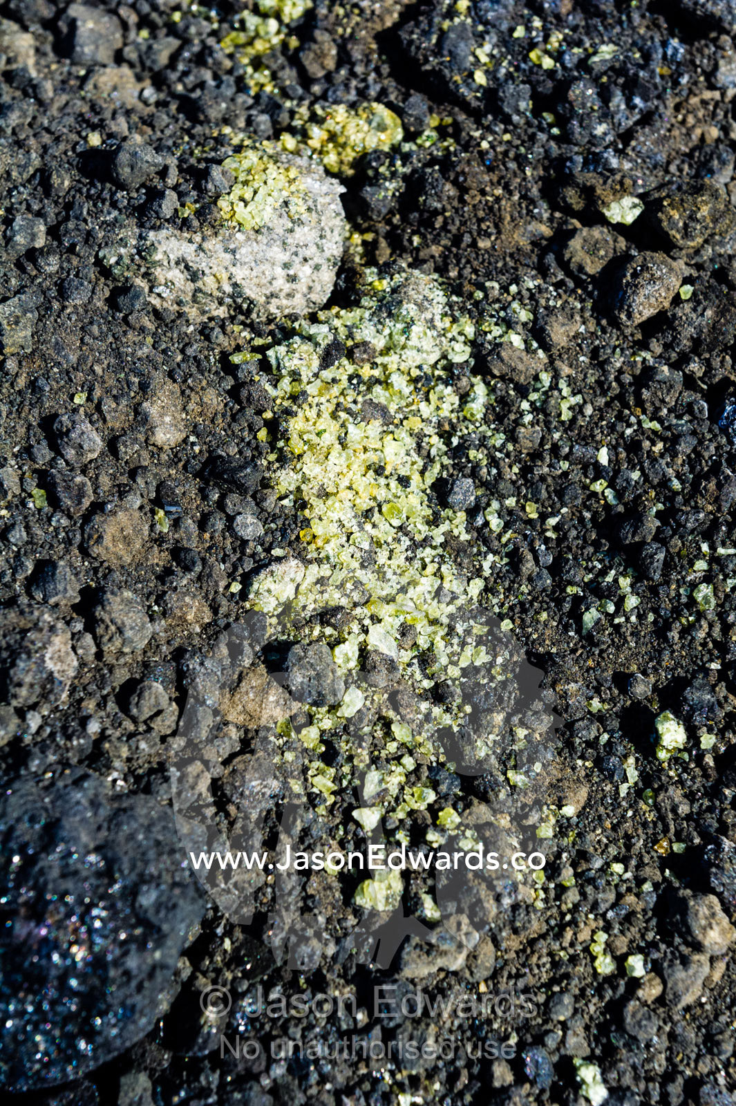 Olivine crystals in a bauxite rock in Antarctica. Turtle Rock, Erebus Bay, McMurdo Sound, Ross Island, Antarctica.