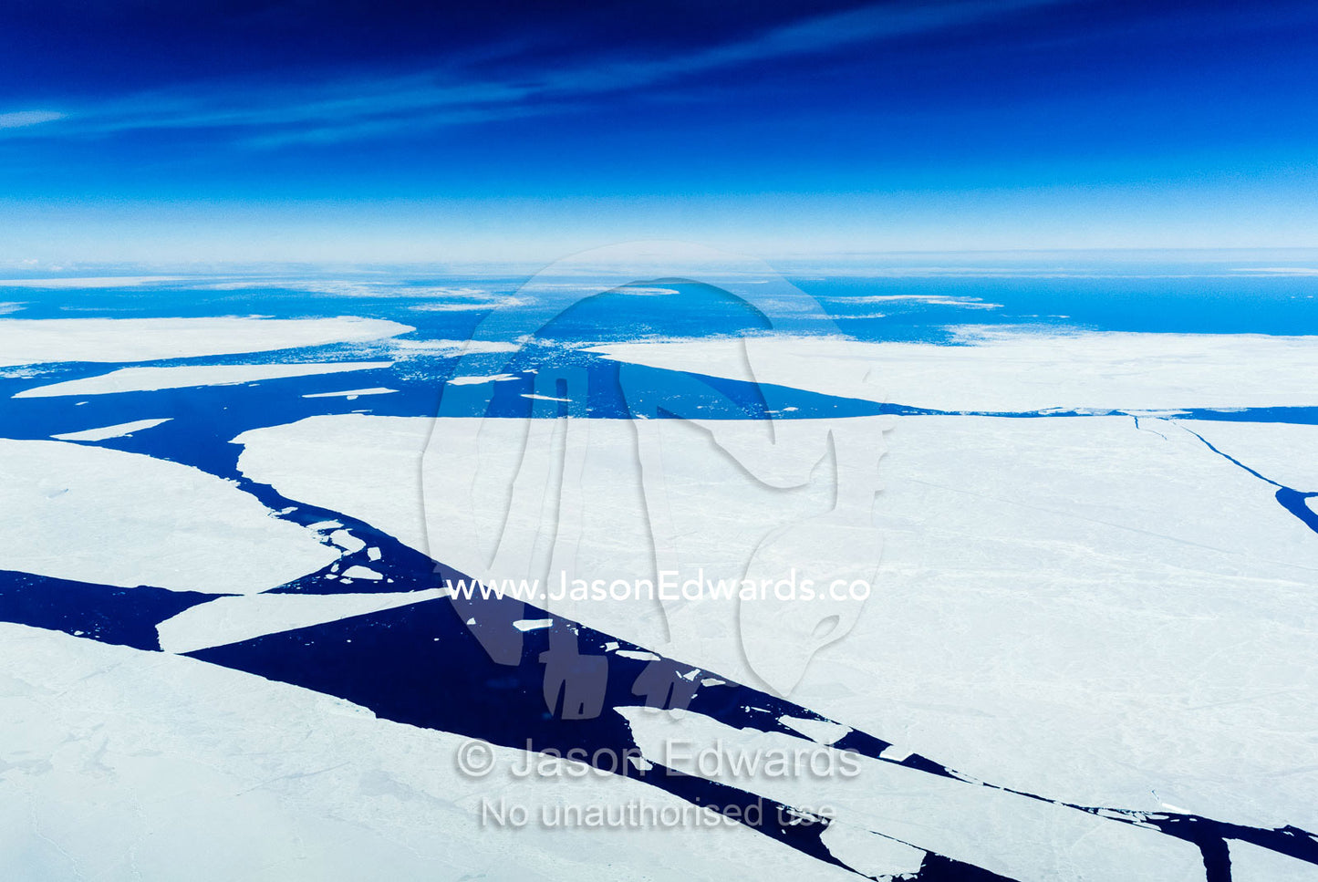 Enormous plates of sea ice floating on the ocean during the Antarctic summer. Ross Sea, Antarctica.