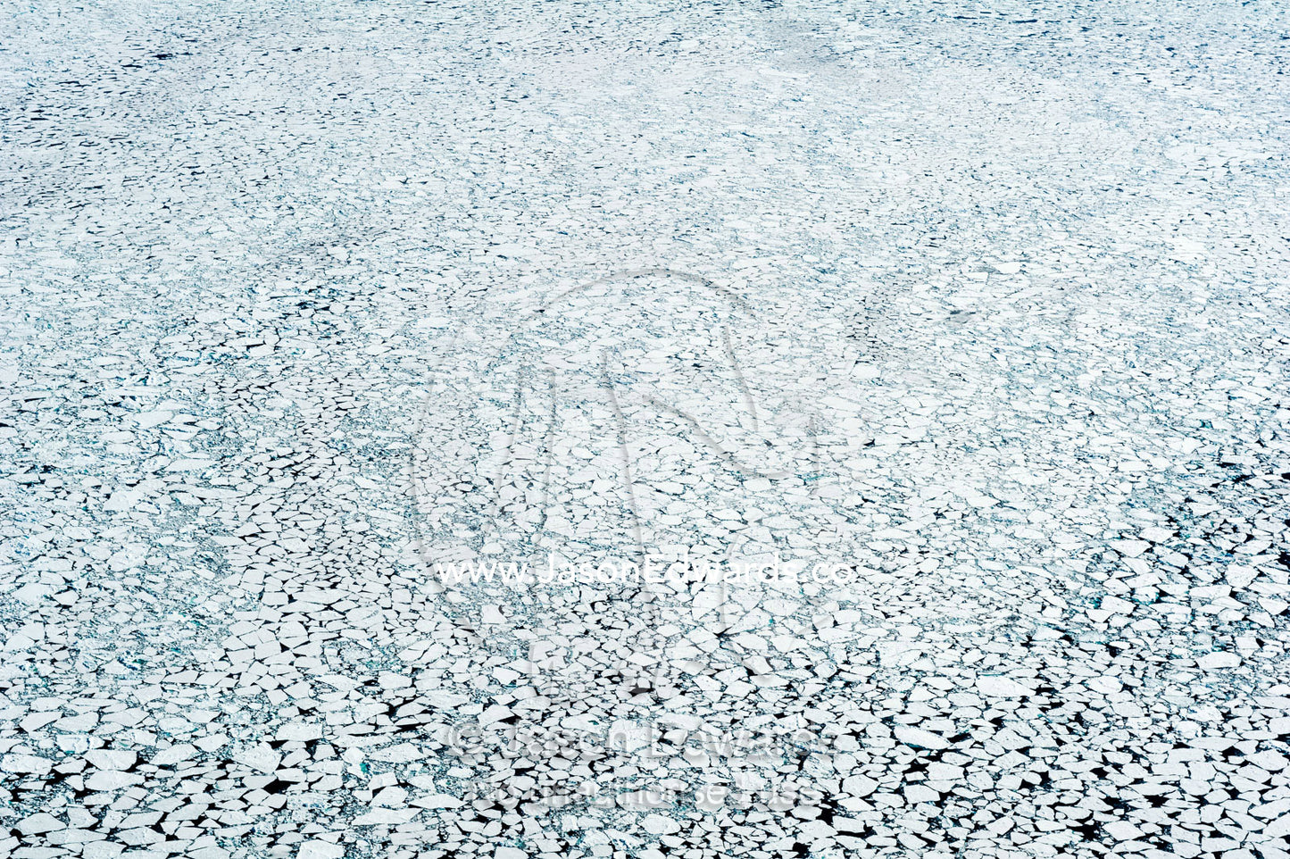 The ocean around Antarctica covered in platelet ice during the summer. Ross Sea, Antarctica.