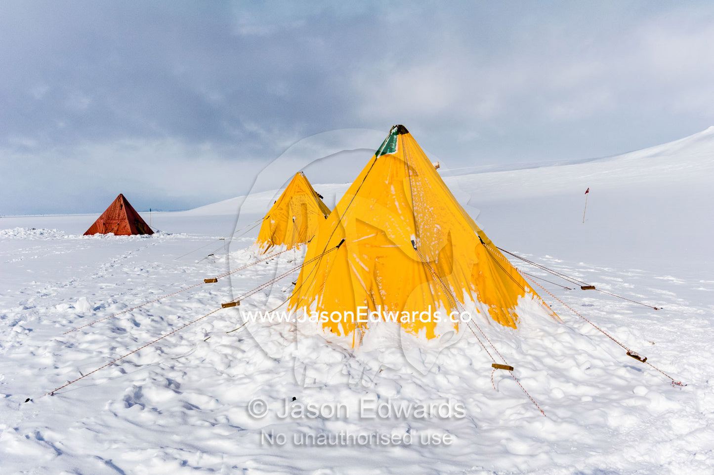 Bright yellow tents lined-up on the Ross Ice Shelf during a survival training course. Windless Bight, Ross Ice Shelf, Ross Island, Antarctica.