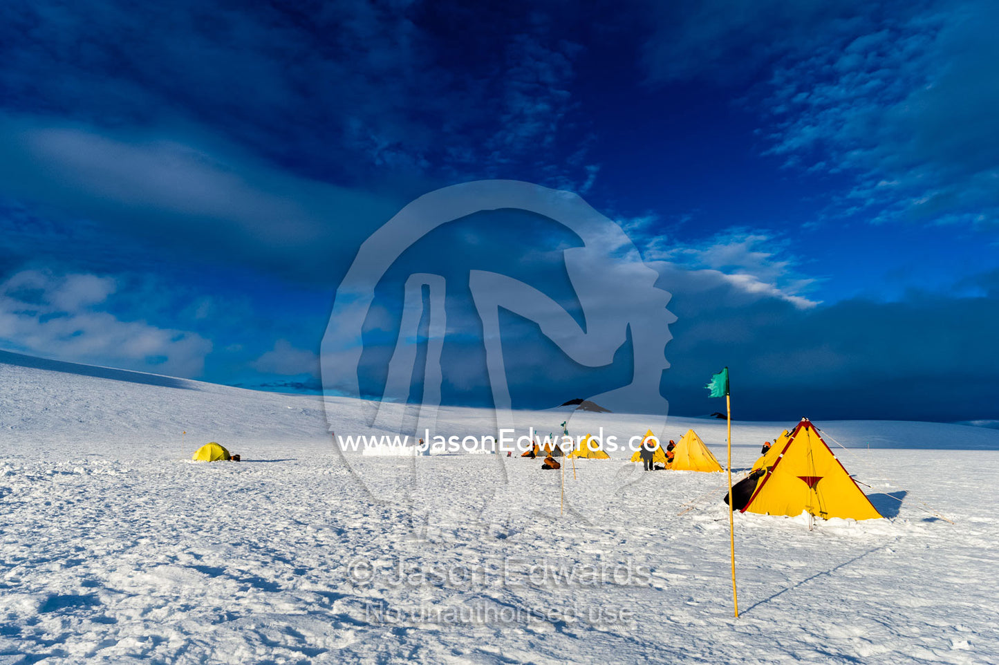 Bright yellow tents lined-up on the Ross Ice Shelf during a survival training course. Windless Bight, Ross Ice Shelf, Ross Island, Antarctica.