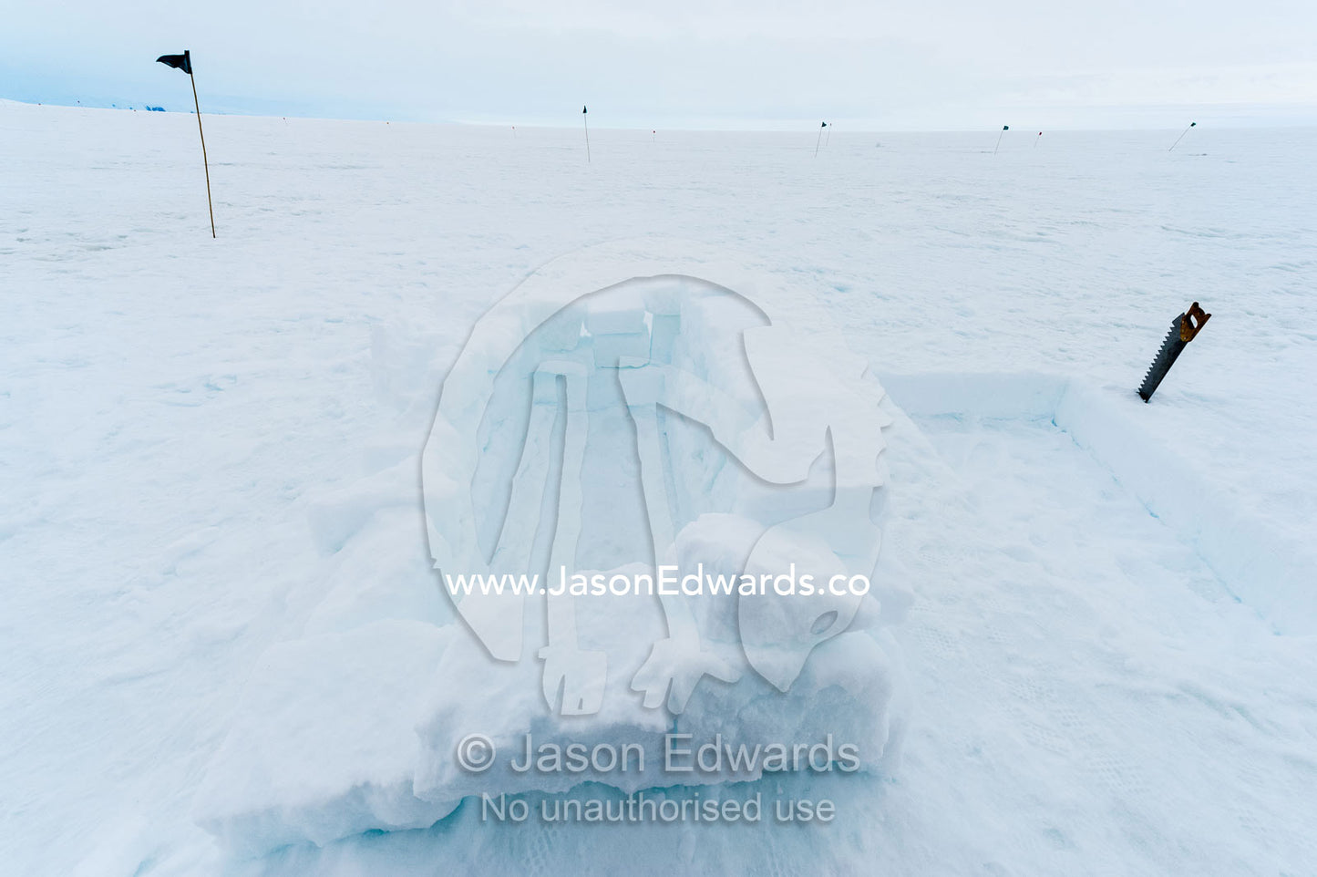 Sleeping pits in the sea ice carved from blocks of ice. Windless Bight, Ross Ice Shelf, Ross Island, Antarctica.