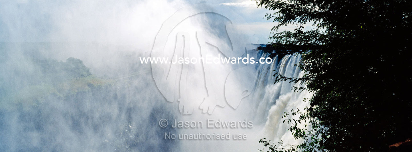 The view of the Victoria Falls cataract and mist plume through a rainforest canopy. Zambezi River, Victoria Falls, Mosi-oa-Tunya National Park, Zambia.