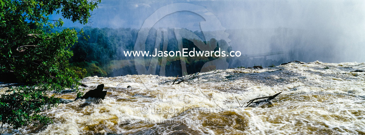 The rapids of the Zambezi River tumble over Victoria Falls sending up a plume of mist. Zambezi River, Victoria Falls, Mosi-oa-Tunya National Park, Zambia.