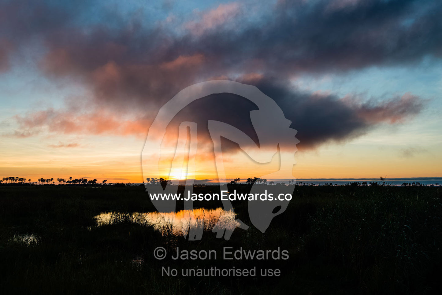 The pastel light of a rising sun reflected in the surface of a wetland silhouette. Selinda Spillway, Selinda Reserve, Linyanti Region, Northern Botswana.