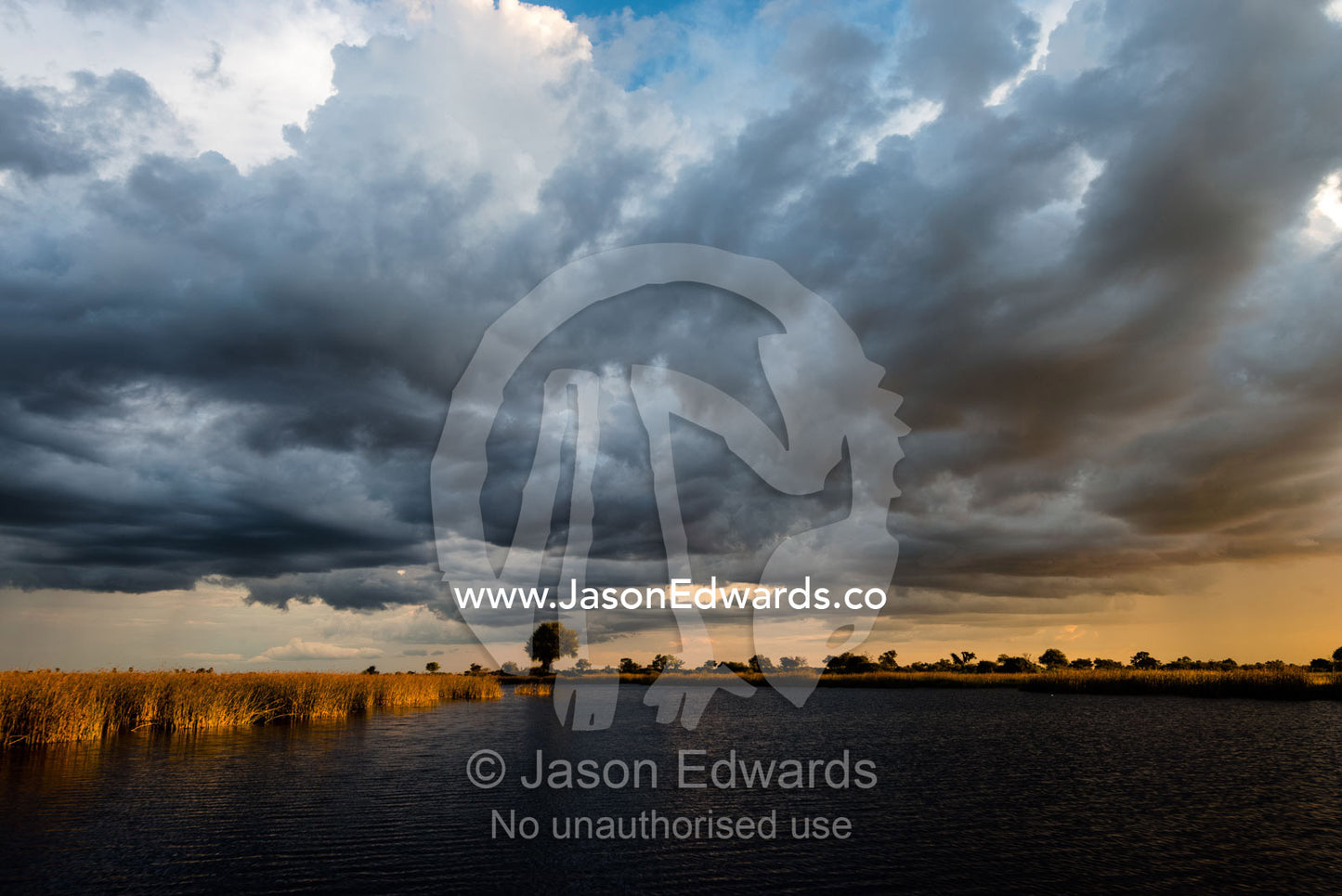 A wet season storm rolls in over wetland reeds at sunset. Selinda Spillway, Selinda Reserve, Linyanti Region, Northern Botswana.