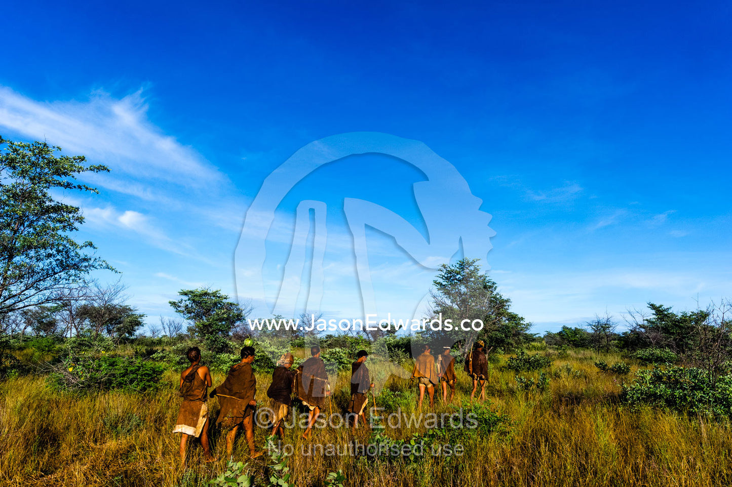 A family of San Bushmen in leather animal skins walking through a grassland at dawn. Kalahari Desert, Botswana.