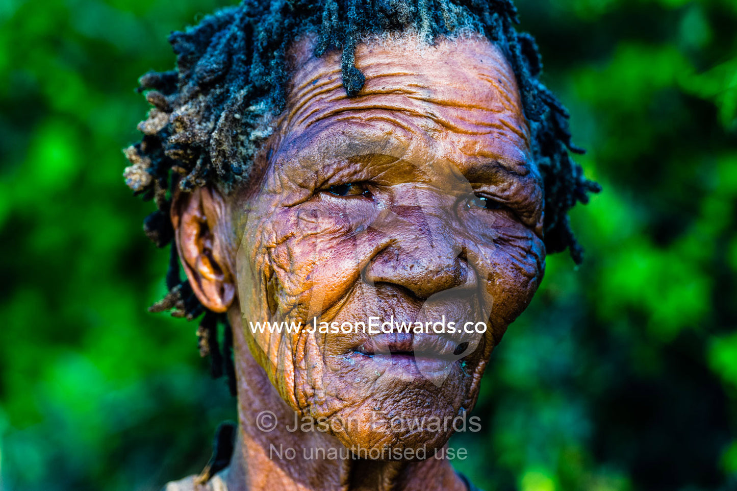 The leathery wrinkled skin on the face of a San Bushmen elder. Kalahari Desert, Botswana.