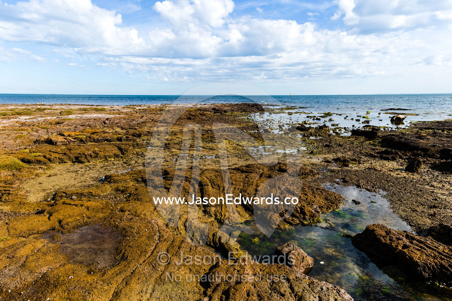 A coastal sandstone platform exposed during low tide. Ricketts Point Marine Sanctuary, Port Phillip Bay, Victoria, Australia.