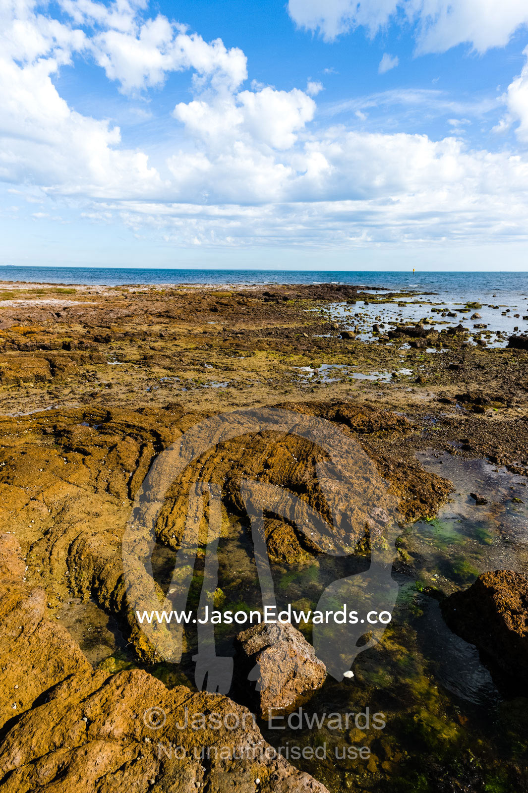 A coastal sandstone platform exposed during low tide. Ricketts Point Marine Sanctuary, Port Phillip Bay, Victoria, Australia.
