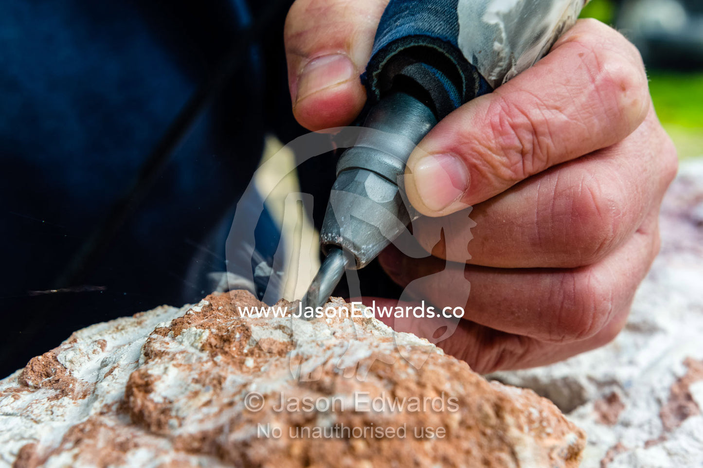 A fossil expert uses a drill to remove the rock from around the segmented tendrils of a crinoid fossil from the Cretaceous Period that has turned to opal in the desert. Devon Meadows, Melbourne, Victoria, Australia.