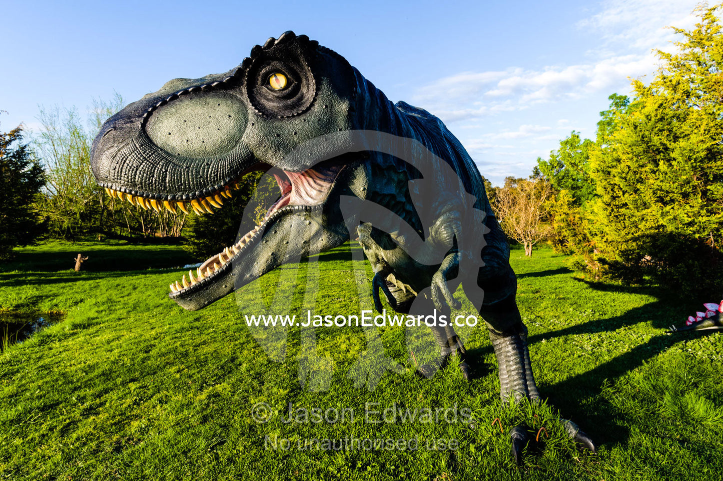 A realistic model of a frightening Tyrannosaurus rex dinosaur hunting in a garden. Devon Meadows, Melbourne, Victoria, Australia.