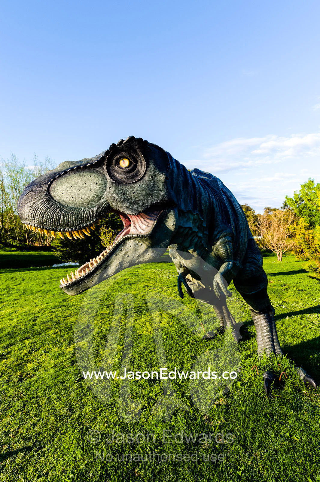 A realistic model of a frightening Tyrannosaurus rex dinosaur hunting in a garden. Devon Meadows, Melbourne, Victoria, Australia.
