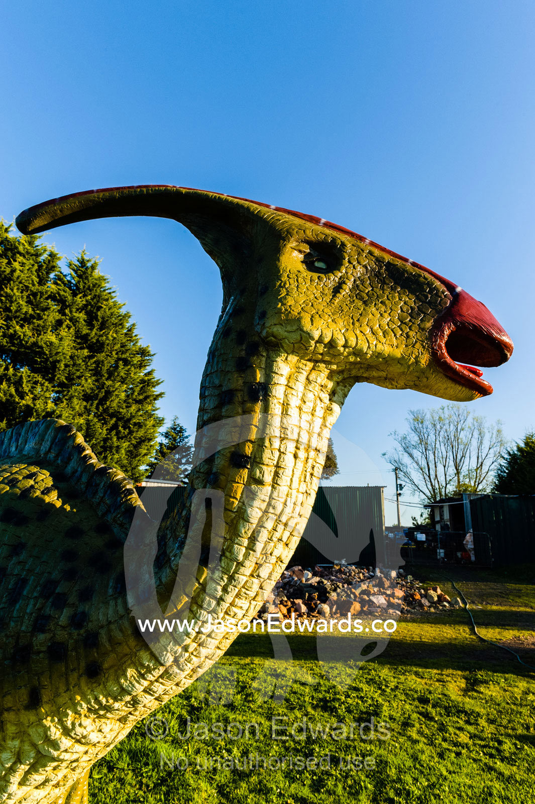 A realistic model of a hadrosaurus dinosaur known as a duck-billed dinosaur. Devon Meadows, Melbourne, Victoria, Australia.